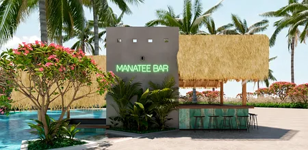 Buffet principal Dreams Playa Esmeralda