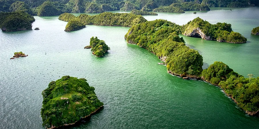 Los Haitises — excursiones y actividades desde Miches, República Dominicana