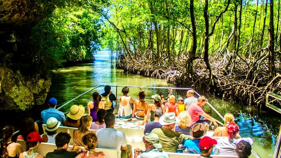 Excursiones en República Dominicana — Samaná, Los Haitises, ballenas jorobadas, cataratas El Limón
