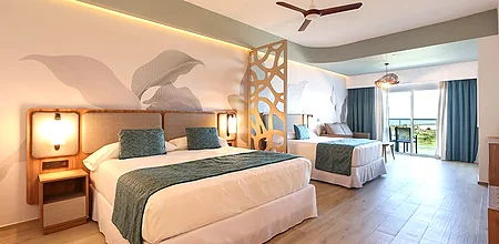 Friend & Family Room Riu Ventura