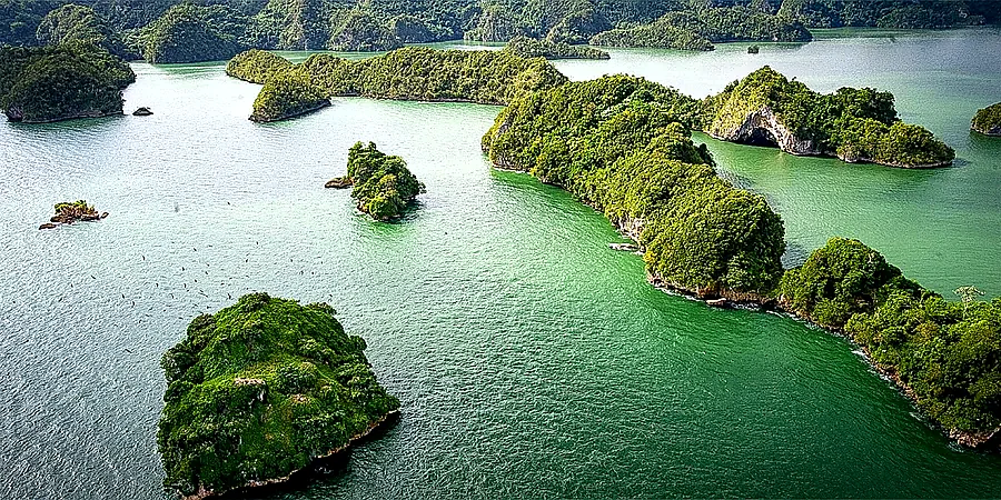 Miches, República Dominicana — excursiones y actividades cerca del Zemi Miches
