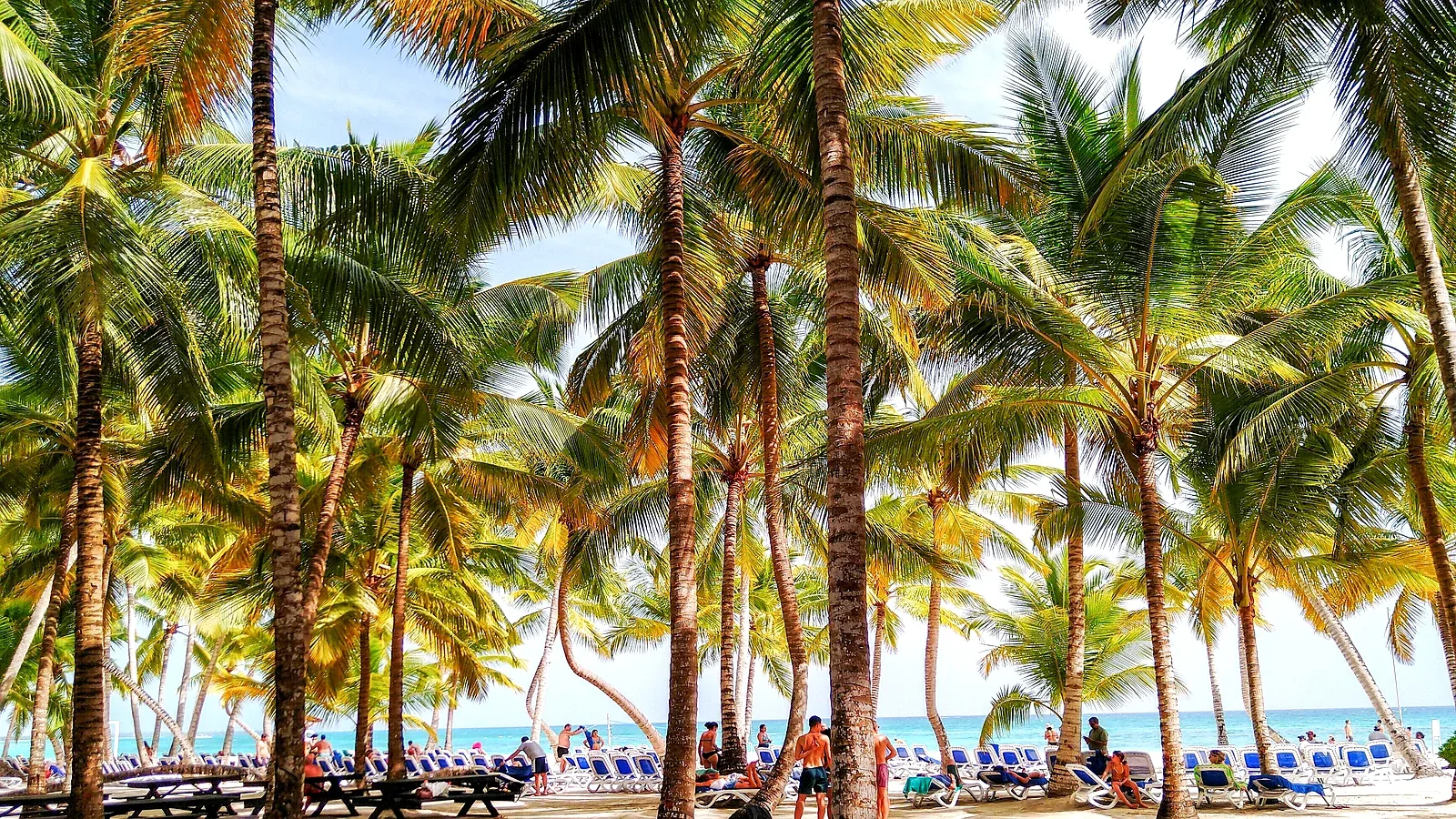 Hotel todo incluido Caribe — Go Hotel Guide