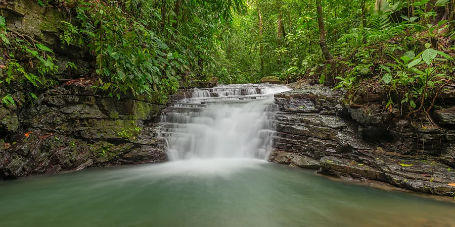Aguas termales y caminata en el volcán Rincón de la Vieja, cerca de Guanacaste