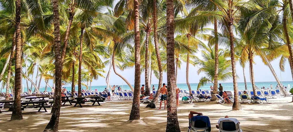 Palmeras y tumbonas en una playa de Punta Cana, junto al mar